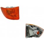 BLIKAČ, BLINKR, SMĚROVÉ SVĚTLO BOČNÍ V ZRCÁTKU PRAVÝ IVECO DAILY, 05.06-09 OE: 3801915 UE – Hledejceny.cz