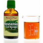 Bylinné kapky HOUSENICE ČERVENÁ Cordyceps tinktura 50 ml – Hledejceny.cz