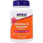 Now Foods Cholin & Inositol 500 mg x 100 kapslí – Hledejceny.cz