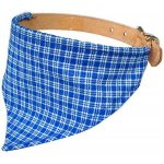 Cobbyspet obojek hladký se šátkem – Zboží Mobilmania