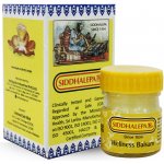 Siddhalepa Ajurvédský balzám 25 g – Sleviste.cz