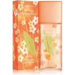 Elizabeth Arden Green Tea Nectarine Blossom toaletní voda dámská 100 ml tester – Sleviste.cz