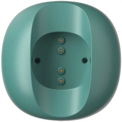Oclean F1/X/X Pro/Z1 Green – Zbozi.Blesk.cz