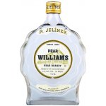 R. Jelínek Hruškovice Williams Kosher 42% 0,7 l (karton) – Hledejceny.cz