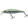 Návnada a nástraha Illex Squad Minnow SP 9,5 cm RT Visible Roach