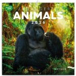 Nástěnný poznámkový Ohrožené druhy 2026 – Sleviste.cz