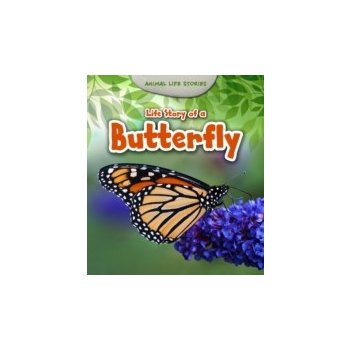 Life Story of a Butterfly - Guillain Charlotte