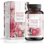 Naturtreu Čas kulatění Komplex vitaminů pro těhotné 90 kapslí – Hledejceny.cz