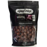 SQUAT CARP Hotové boilies Bloody Mulberry 5 kg 20 mm – Sleviste.cz
