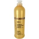 Black Hair Loss Shampoo Placentový na vlasy 500 ml