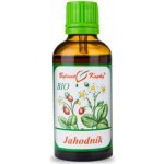 Bylinné kapky Jahodník list + květ BIO kapky tinktura 50 ml – Hledejceny.cz