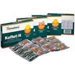 Himalaya Koflet H Ginger 12 pastilek – Hledejceny.cz