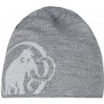 Mammut Logo Beanie highway granit – Hledejceny.cz