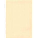 ELBE Classic Standard Line SBG 150 bazénová fólie písková 25 x 1,65 m – Hledejceny.cz