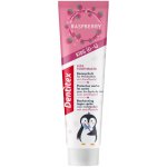 DENTITEX Dětská zubní pasta od 0 do 6 let malinová 100 ml – Hledejceny.cz