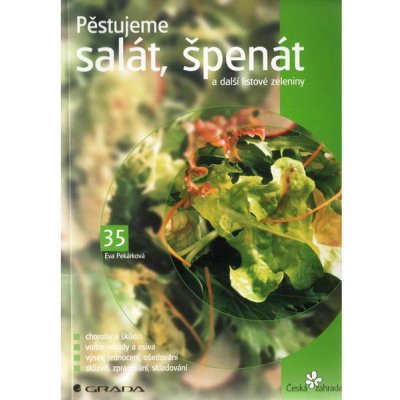Pěstujeme salát, špenát a další listové zeleniny