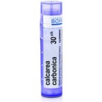 CALCAREA CARBONICA POR 30CH GRA 1X4G – Hledejceny.cz