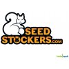 Semena konopí Seedstockers Super Skunk Auto semena neobsahují THC 1 ks