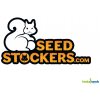 Seedstockers Moby Dick AUTO semena neobsahují THC 5 ks