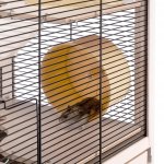 Ferplast klícka HL HAMSTERVILLE černá 60 x 34 x 49 cm – Zbozi.Blesk.cz