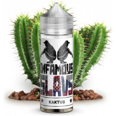 Infamous Slavs Shake & Vape Kaktus kaktusový džus 20 ml – Zboží Mobilmania