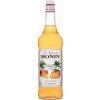 Šťáva Monin mango 1 l