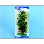 Hagen rostlina Red Ludwigia 20 cm – Zboží Mobilmania