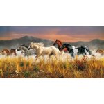 Clementoni Divocí koně 38006 13200 dílků – Zboží Dáma