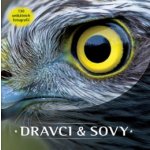 Dravci a sovy – Hledejceny.cz