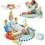 Fisher Price Hrací dečka s kolotočem pro motorický a kognitivní – Hledejceny.cz