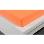 Xpose Jersey prostěradlo Exclusive meruňkové 90x200 – Hledejceny.cz