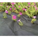 Strend Pro Garden Netkaná textilie Garden B4403 0,9 x 10 m 50 g/m² černá – HobbyKompas.cz