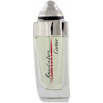 Cartier Roadster Sport toaletní voda pánská 100 ml tester – Hledejceny.cz