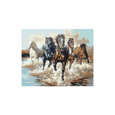 Malovaní podle čísel Běžící koně ve vodě
