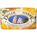 Nesti Dante Dolce Vivere mýdlo Capri 250 g – Zbozi.Blesk.cz
