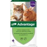Advantage Spot-on pro velké kočky a králíky 80 mg 1 x 0,8 ml – Hledejceny.cz