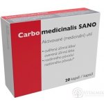 Carbo medicinalis SANO 20 kapslí – Hledejceny.cz