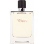 Hermès Terre D'Hermès toaletní voda pánská 100 ml – Sleviste.cz