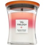 WoodWick Trilogy Blooming Orchard 275 g – Hledejceny.cz
