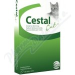 Cestal Cat žvýkací tablety pro kočku 80 / 20mg 8 tbl – Hledejceny.cz