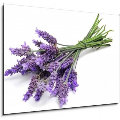 Obraz 1D - 100 x 70 cm - lavender levandule – Zbozi.Blesk.cz