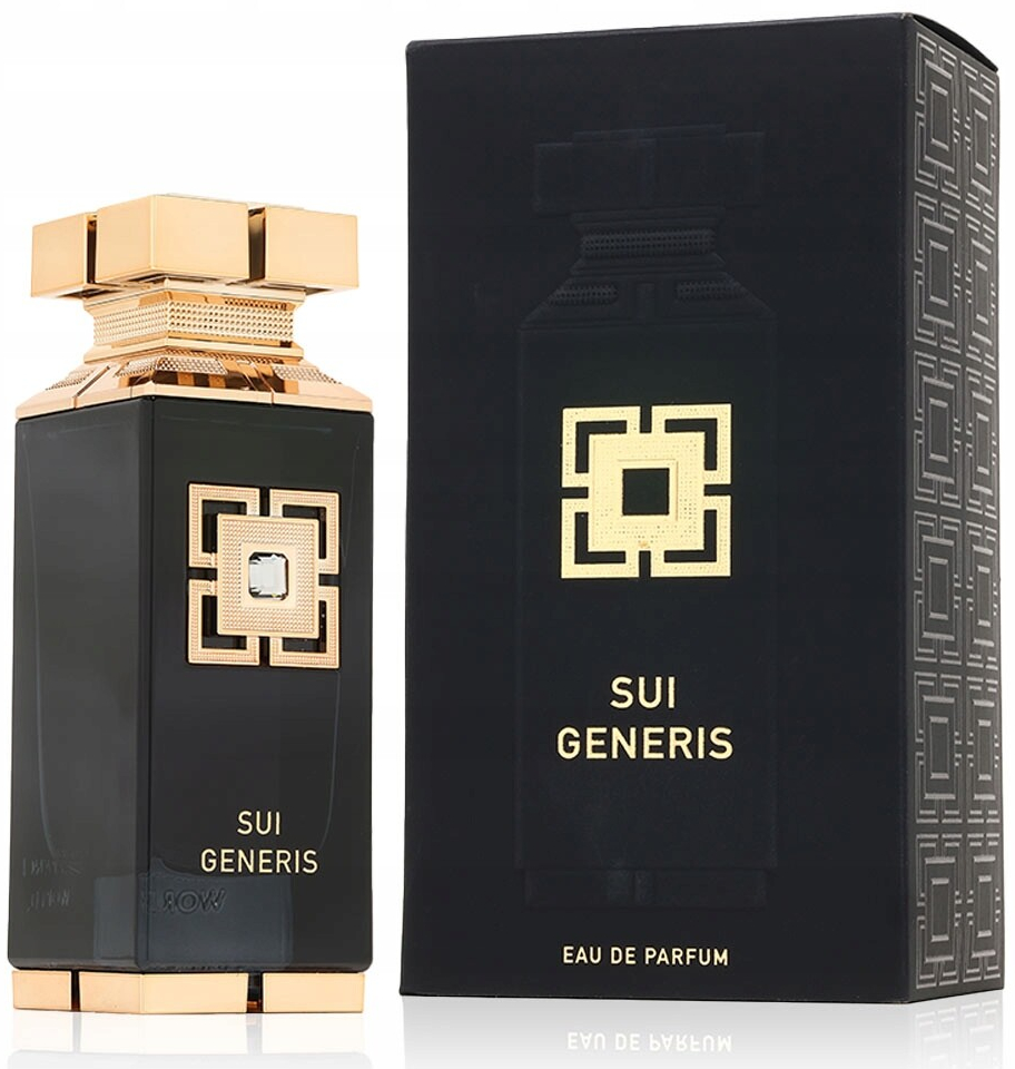 Fragrance World Sui Generis parfémovaná voda pánská 100 ml