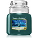 Yankee Candle Winter Night Stars 411 g – Zbozi.Blesk.cz