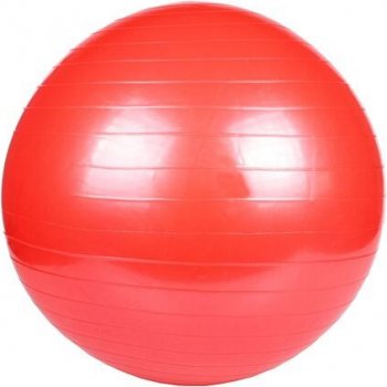 Merco Gymball 45 cm
