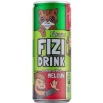 Fizi Drink Meloun 250 ml – Zboží Dáma