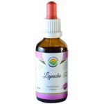 Salvia Paradise Lapacho AF tinktura 50 ml – Hledejceny.cz