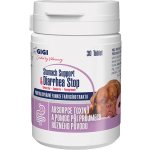 Gigi Stomach Support & Diarrhea Stop 30 tbl – Hledejceny.cz
