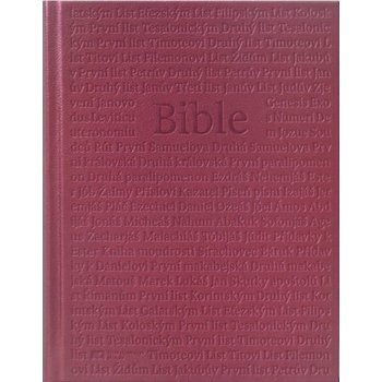Kniha Bible