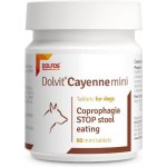 Dolfos Dolvit Cayenne konec pojídání výkalů 60 Mini tbl – Hledejceny.cz