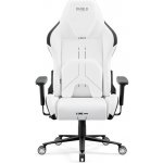 Diablo X.One Prime Normal Size černo-bílá – Hledejceny.cz